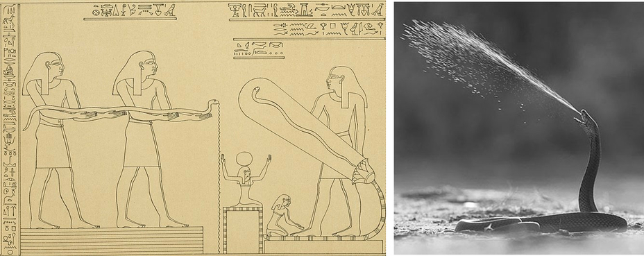 Temple Hathor Dendera Lightbulb Serpent Snake Electricity Denderah Carrier Diagram